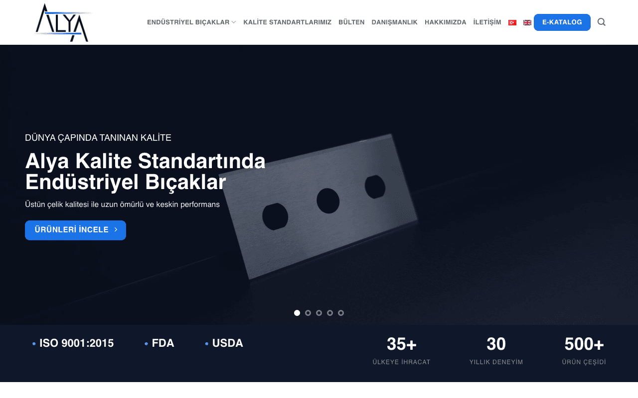 Alya Bıçak web sitesi ekran görüntüsü