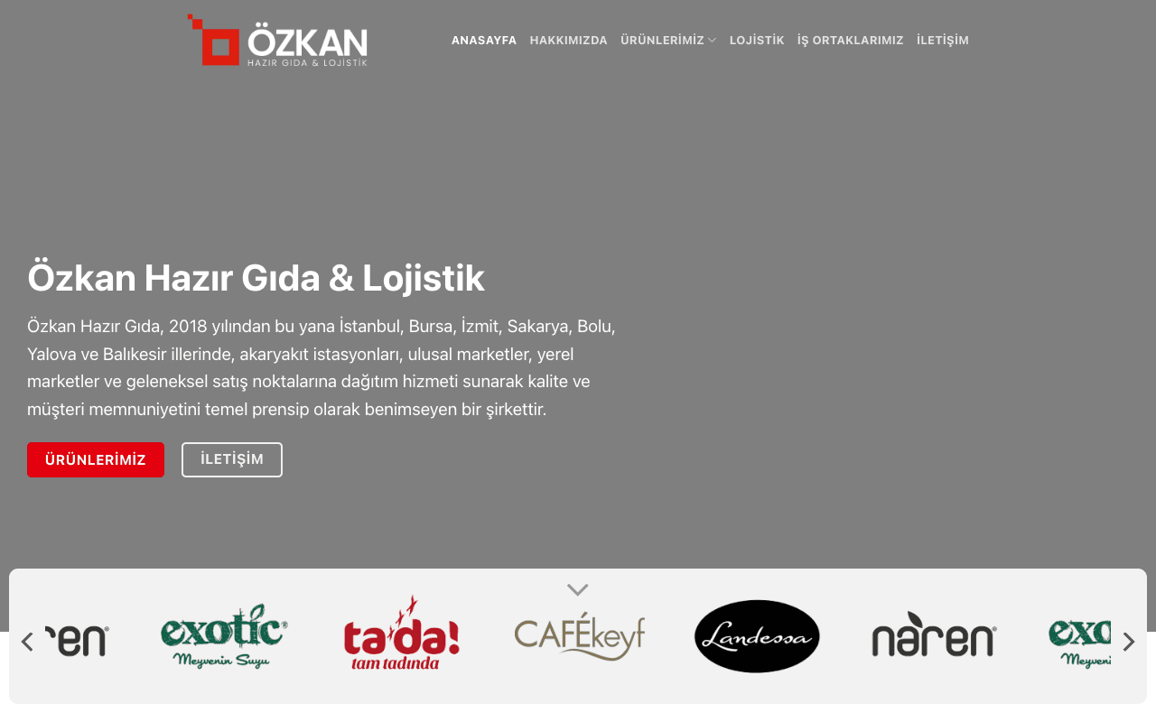 Özkan Hazır Gıda web sitesi ekran görüntüsü