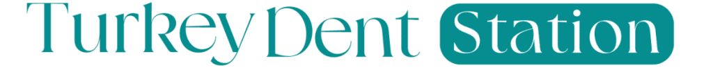 Turkey Dent Station Logo 1024x98 1